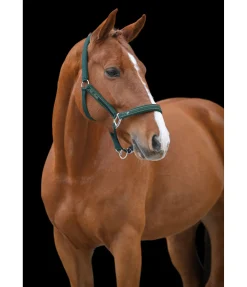 Felix Bühler Licol Glamorous vert d´eau Discount