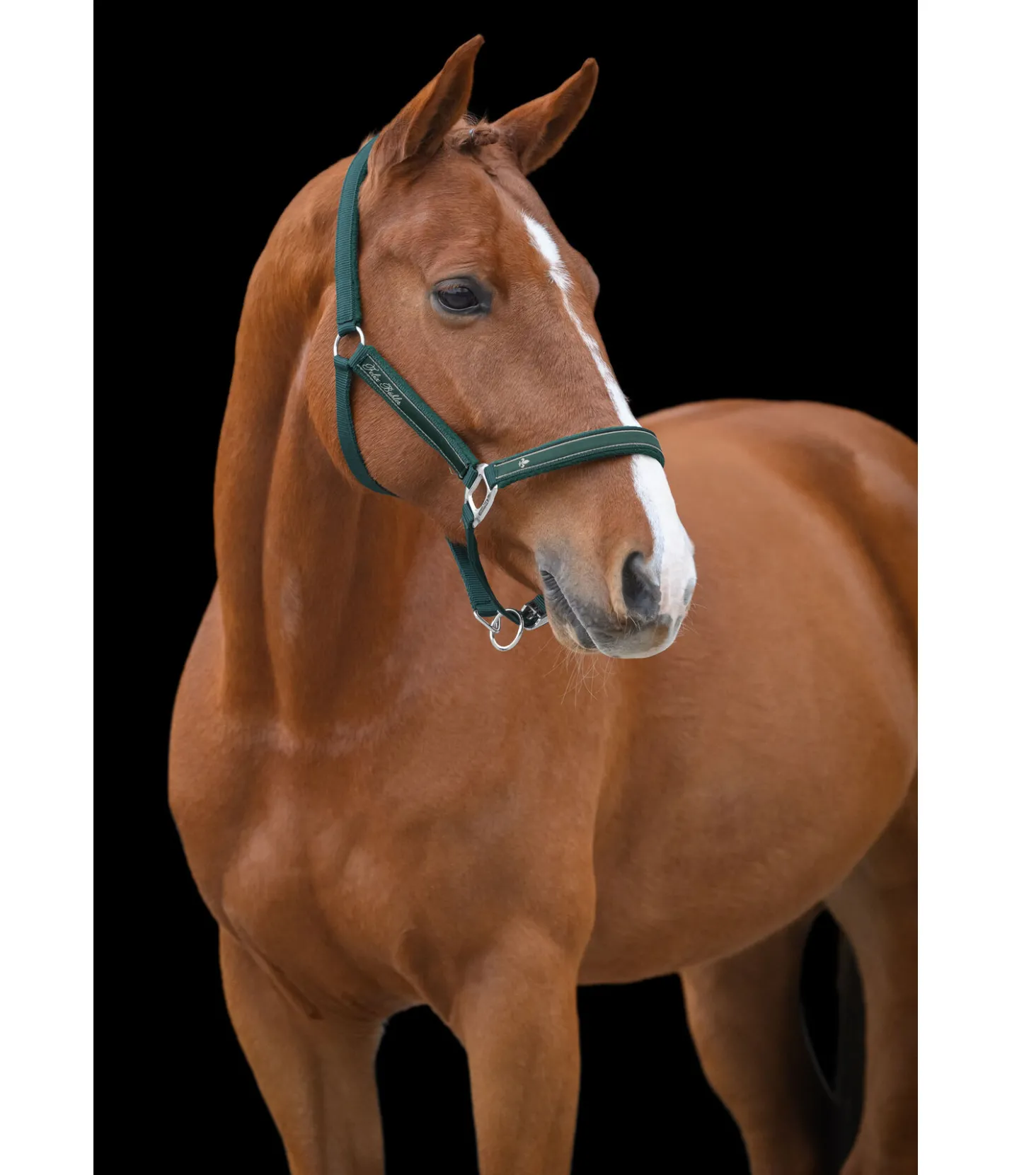 Felix Bühler Licol Glamorous vert d´eau Discount