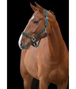 Felix Bühler Licol Glamorous vert d´eau Discount