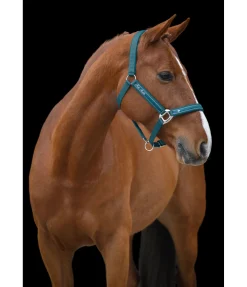 Felix Bühler Licol Glamorous turquoise foncé Sale