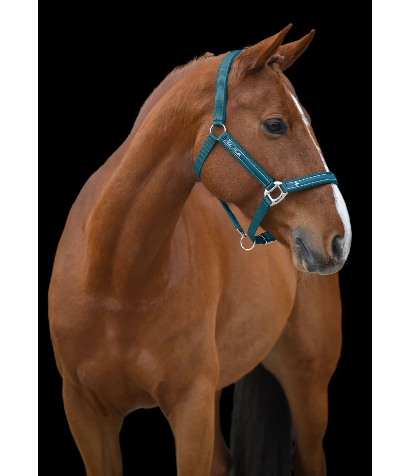 Felix Bühler Licol Glamorous turquoise foncé Sale