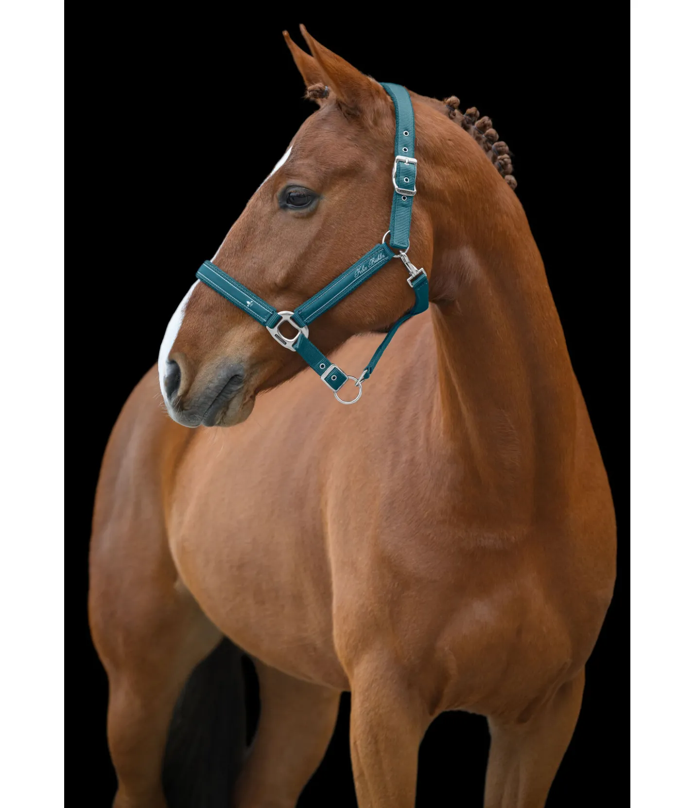 Felix Bühler Licol Glamorous turquoise foncé Sale
