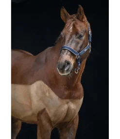 Felix Bühler Licol Glitte navy Best