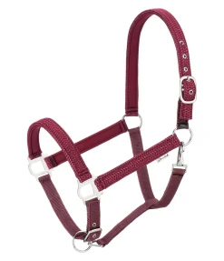 STONEDEEK Licol Holly cassis Sale