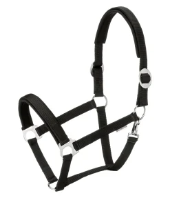 SHOWMASTER Licol Interchangeable noir Sale