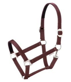 SHOWMASTER Licol Interchangeable acajou New
