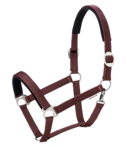 SHOWMASTER Licol Interchangeable acajou New