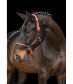 Felix Bühler Licol Meghan orange Clearance