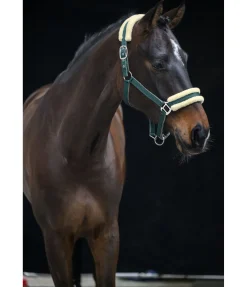 Felix Bühler Licol Night Sky thé vert Best