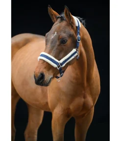 Felix Bühler Licol Shine navy classique Outlet
