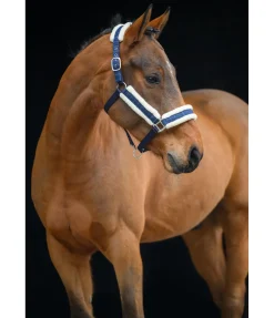 Felix Bühler Licol Shine navy classique Outlet