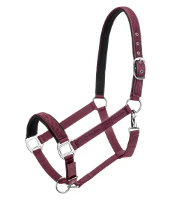 Felix Bühler Licol Signature II noir-violet Hot