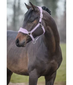 SHOWMASTER Licol Softy violet pâle Best