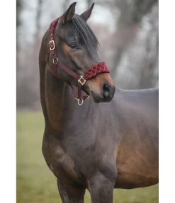SHOWMASTER Licol Softy acajou Sale