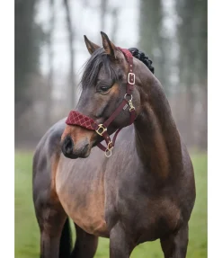 SHOWMASTER Licol Softy acajou Sale