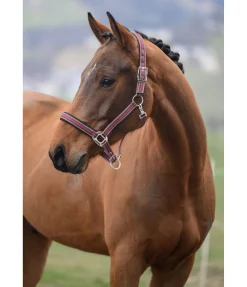 Felix Bühler Licol Swiss Design II baie vintage Sale