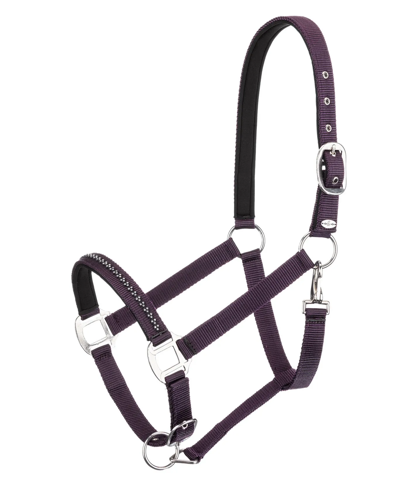 SHOWMASTER Licol Twinkle violet foncé Best