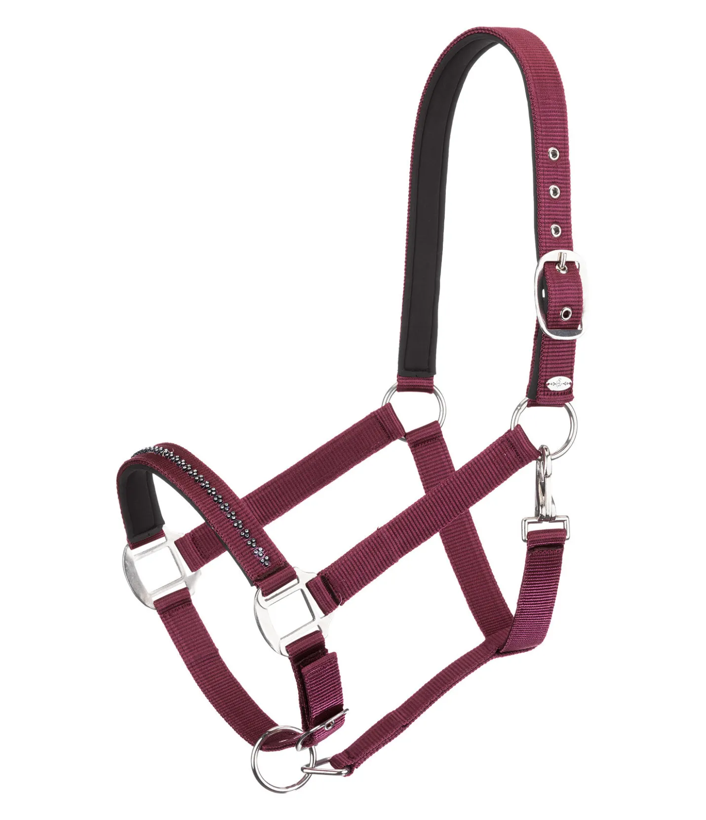 SHOWMASTER Licol Twinkle wild berry Best