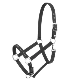 SHOWMASTER Licol Twinkle noir Online
