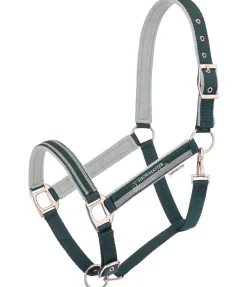 SHOWMASTER Licol Twotone vert d´eau Online