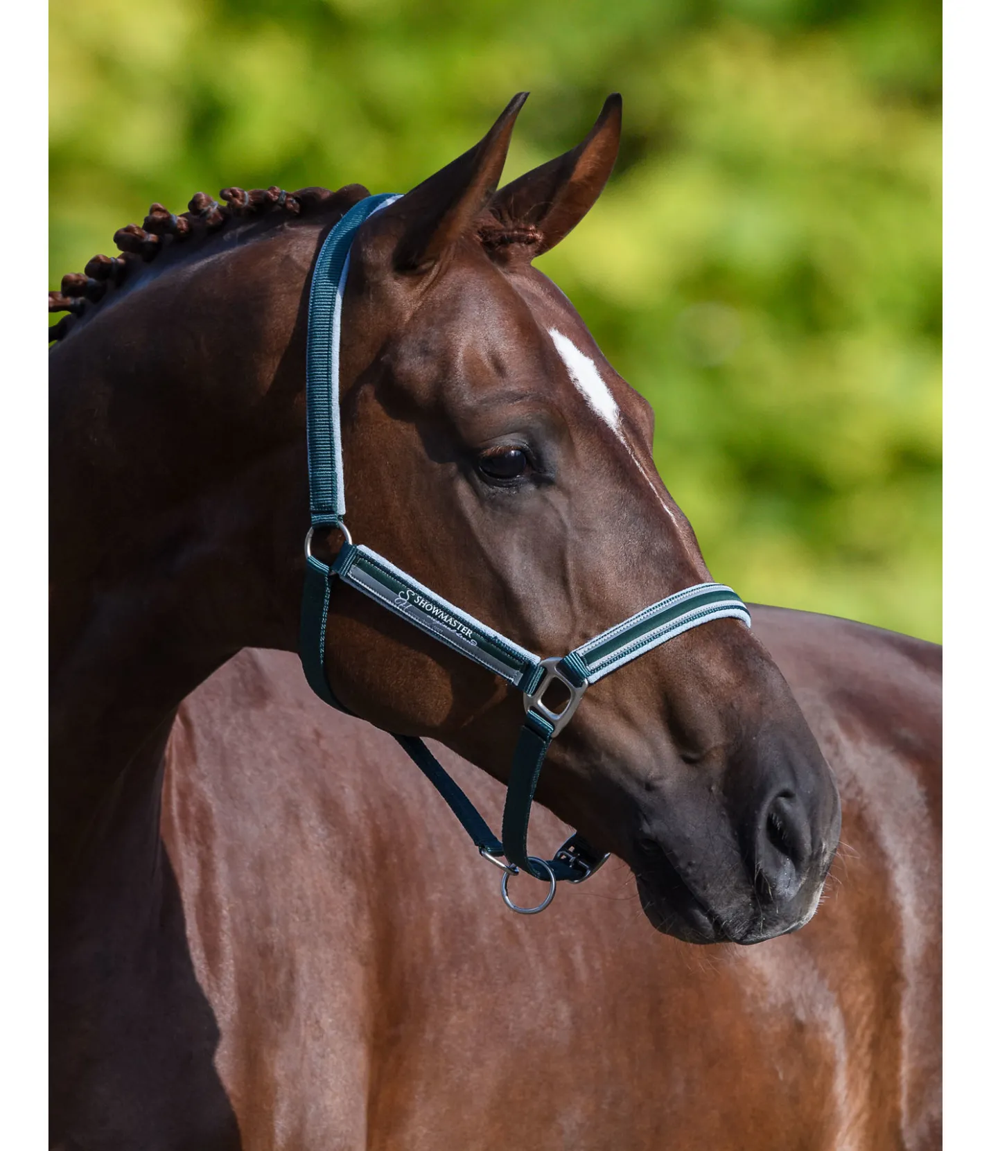 SHOWMASTER Licol Twotone vert d´eau Online