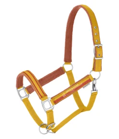 SHOWMASTER Licol Twotone mangue dorée New