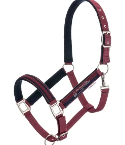 SHOWMASTER Licol Twotone mûron Clearance