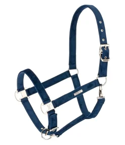 Felix Bühler Licol Velvet navy Clearance