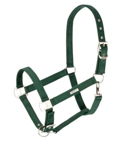Felix Bühler Licol Velvet vert d´eau Discount