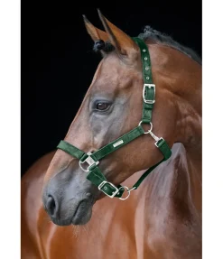Felix Bühler Licol Velvet vert d´eau Discount