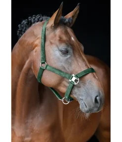 Felix Bühler Licol Velvet vert d´eau Discount