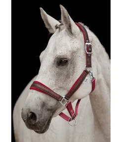 Felix Bühler Licol Velvet Twinkle mûron Sale