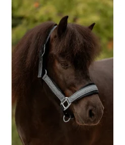 Felix Bühler Licol Velvet Twinkle argenté Best