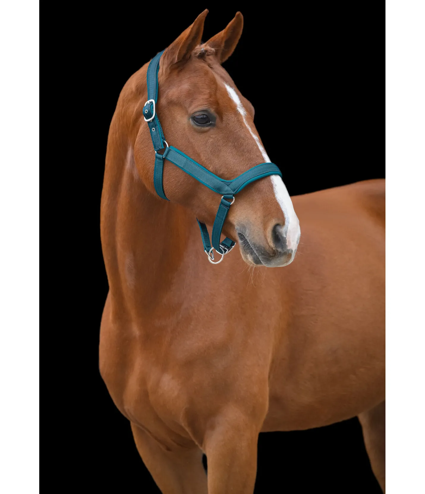 Felix Bühler Licol anatomique Relaxation turquoise foncé New