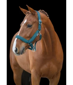 Felix Bühler Licol anatomique Relaxation turquoise foncé New