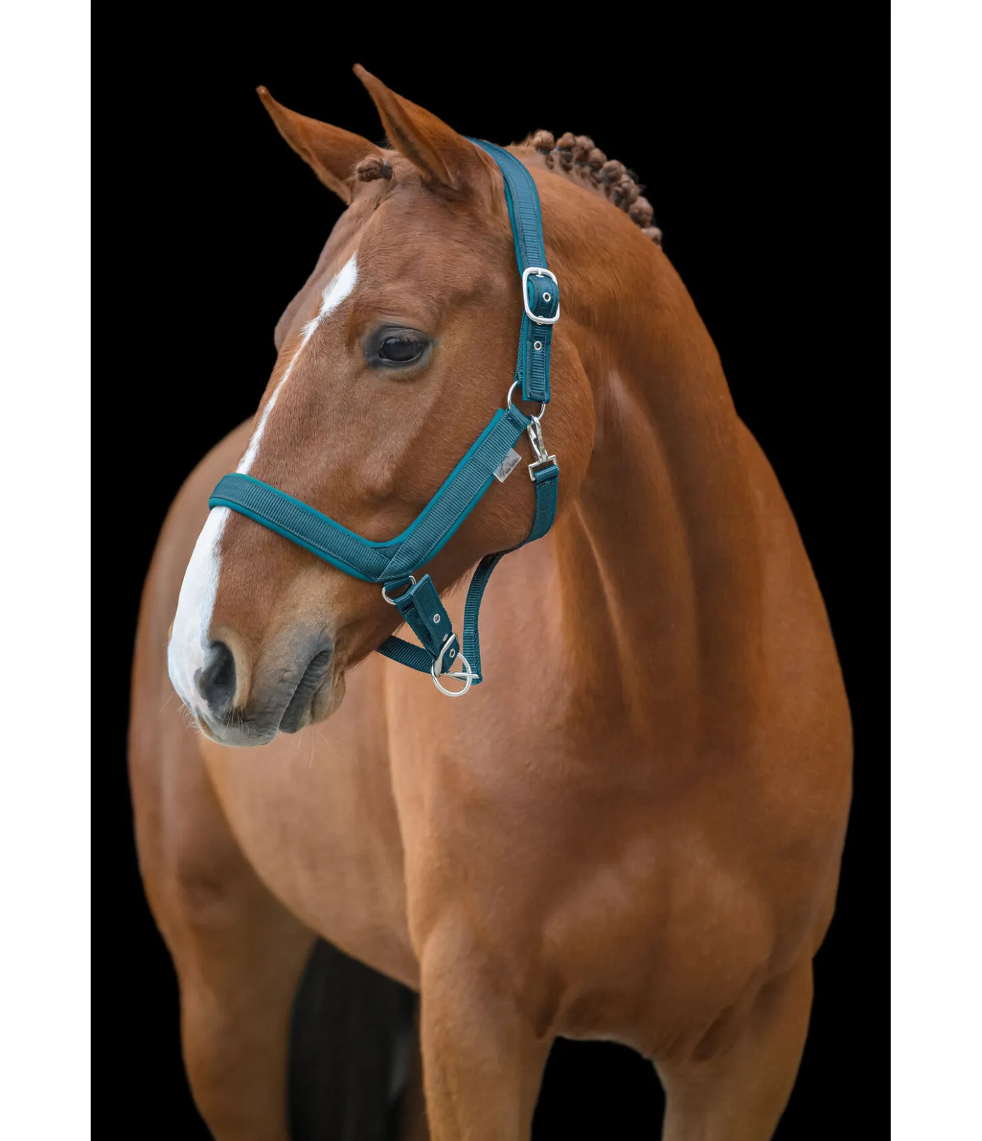 Felix Bühler Licol anatomique Relaxation turquoise foncé New