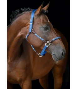Felix Bühler Licol anatomique Sophistication bleu Ibiza Best