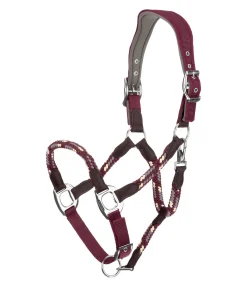 Felix Bühler Licol anatomique Sophistication noir-violet Discount