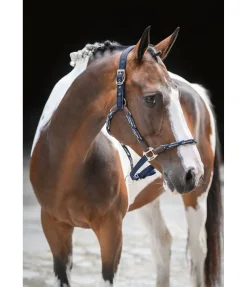 Felix Bühler Licol anatomique Sophistication navy Best