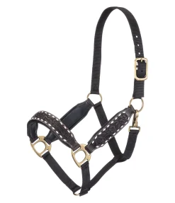 STONEDEEK Licol cuir Napi marron foncé Discount
