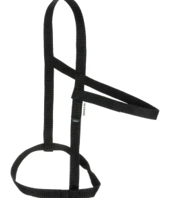 SHOWMASTER Licol de sécurité Safety noir Clearance