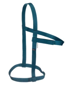 SHOWMASTER Licol de sécurité Safety turquoise foncé New