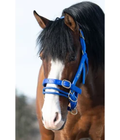 Monty Roberts Licol Dually bleu Discount