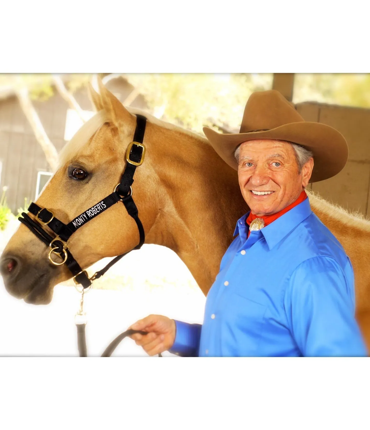 Monty Roberts Licol Dually noir New