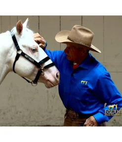 Monty Roberts Licol Dually noir New