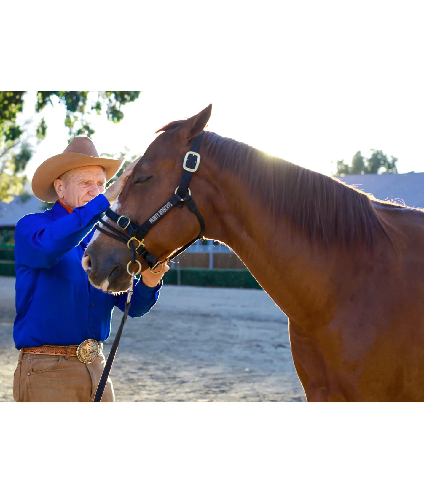 Monty Roberts Licol Dually noir New