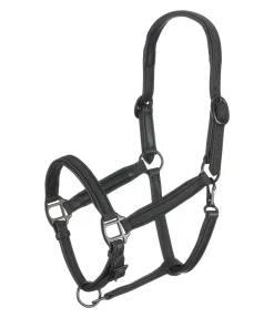 FENGUR Licol en cuir Blika noir Online