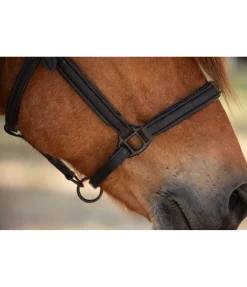 FENGUR Licol en cuir Blika noir Online