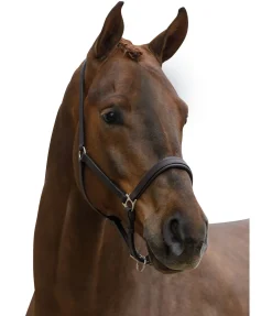 SHOWMASTER Licol en cuir Siri marron foncé Sale