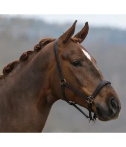 SHOWMASTER Licol en cuir Siri marron foncé Sale